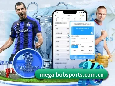 BOB体育app下载 APP 界面
